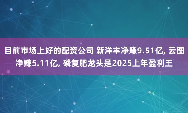 目前市场上好的配资公司 新洋丰净赚9.51亿, 云图净赚5.11亿, 磷复肥龙头是2025上年盈利王
